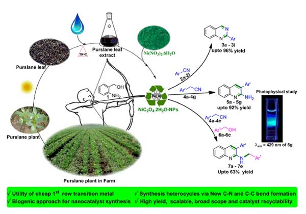 An Expeditious Access to N-heterocycles under Heterogeneous Condition and its Photophysical studies