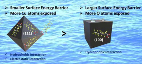 anisotropic cu2o nanostructures