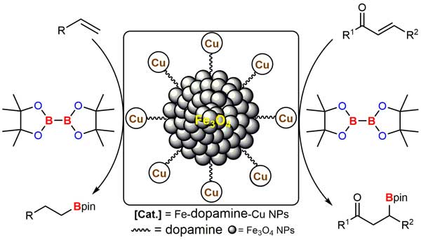 Fe dopamine cu nps