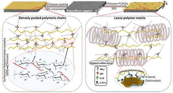 Nanofiltration Membranes for Selective Separation