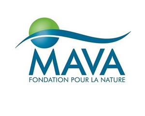 national collaboration mava