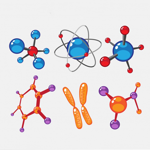 M.Sc in Molecular Medicine & Stem Cell Technologies - Allied Healthcare Science (PG)