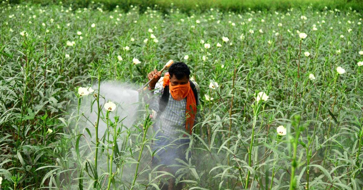 Trends of Current-Use of Pesticides in India and its fate