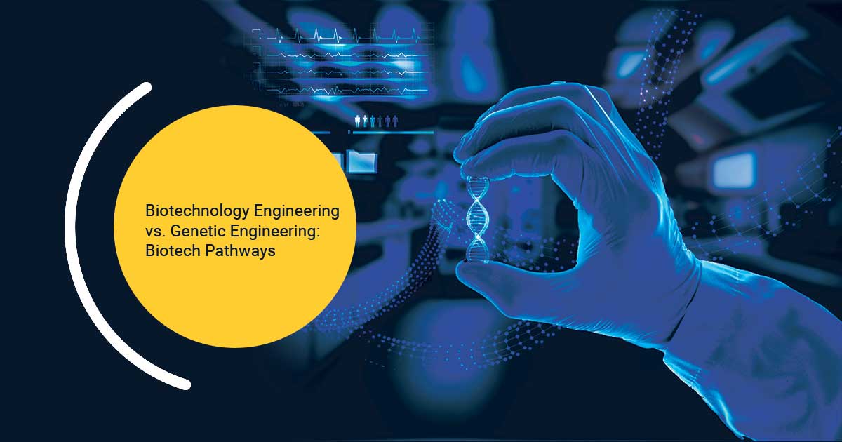 Biotechnology Engineering vs. Genetic Engineering: Biotech Pathways